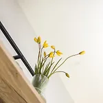 Smilciu Namu Studijos - - By Hello Sea Homes Palanga
