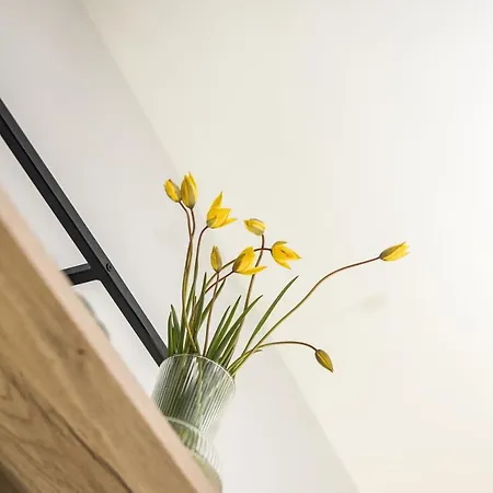 Smilciu Namu Studijos - - By Hello Sea Homes Palanga