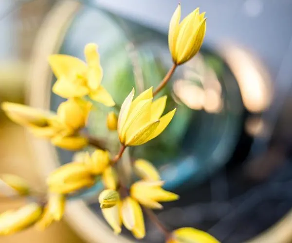 Apartment Smilciu Namu Studijos - - By Hello Sea Homes *